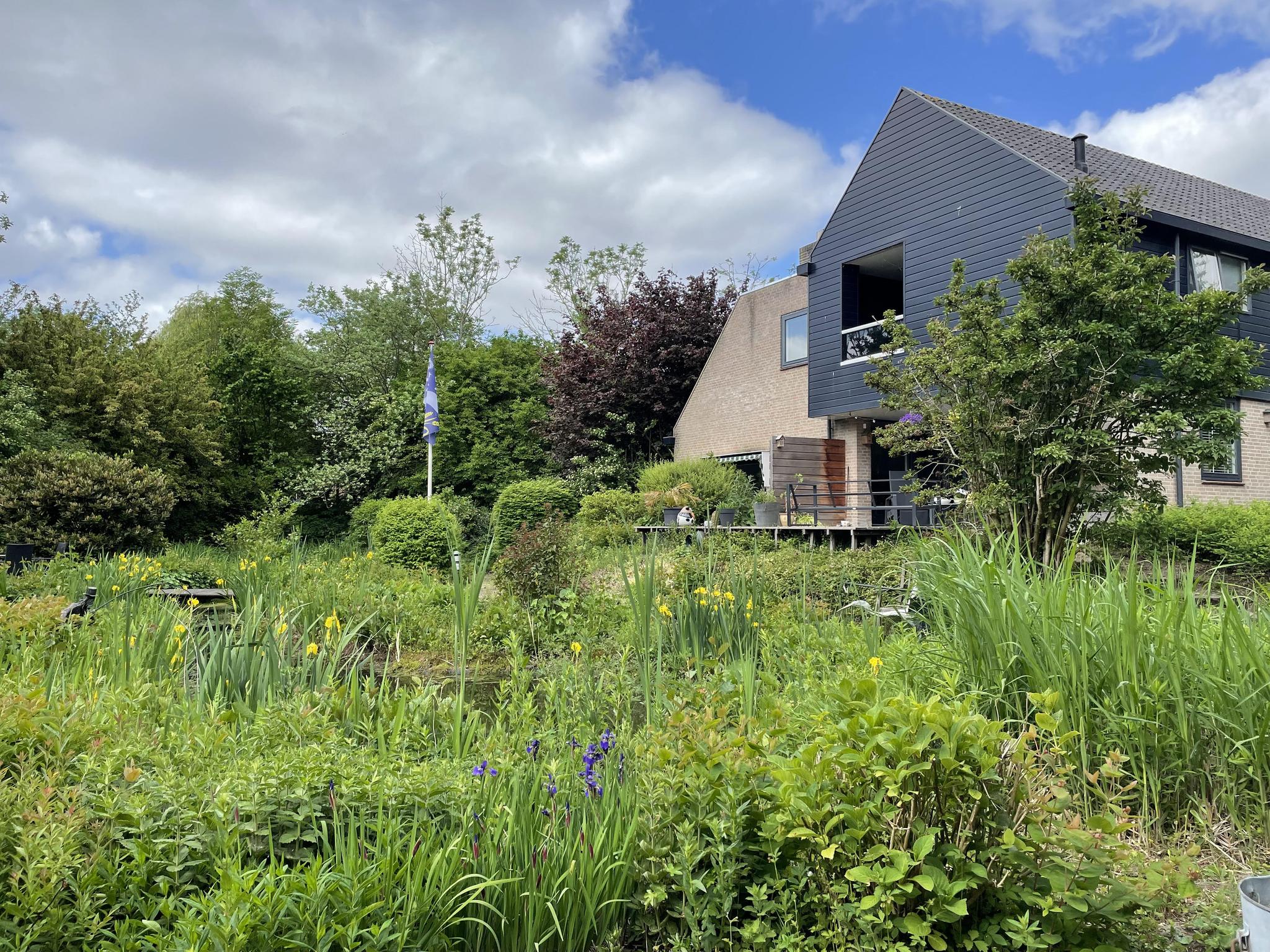 Kruisweg 1189 , 2131 MD Hoofddorp 41