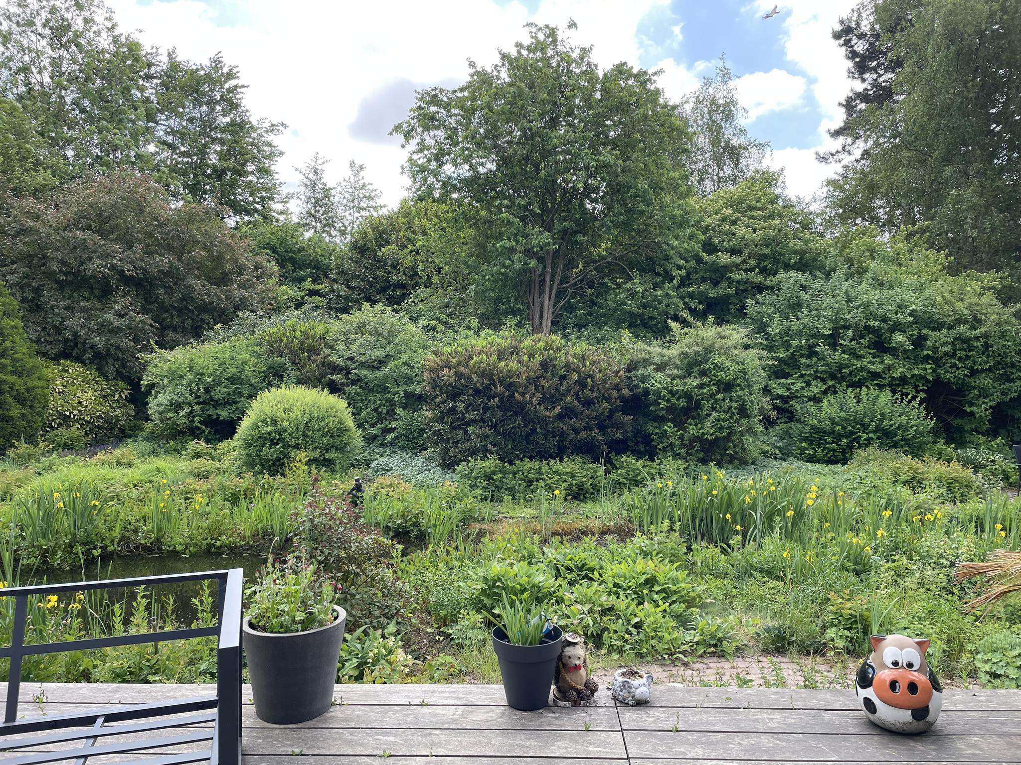 Kruisweg 1189 , 2131 MD Hoofddorp 39