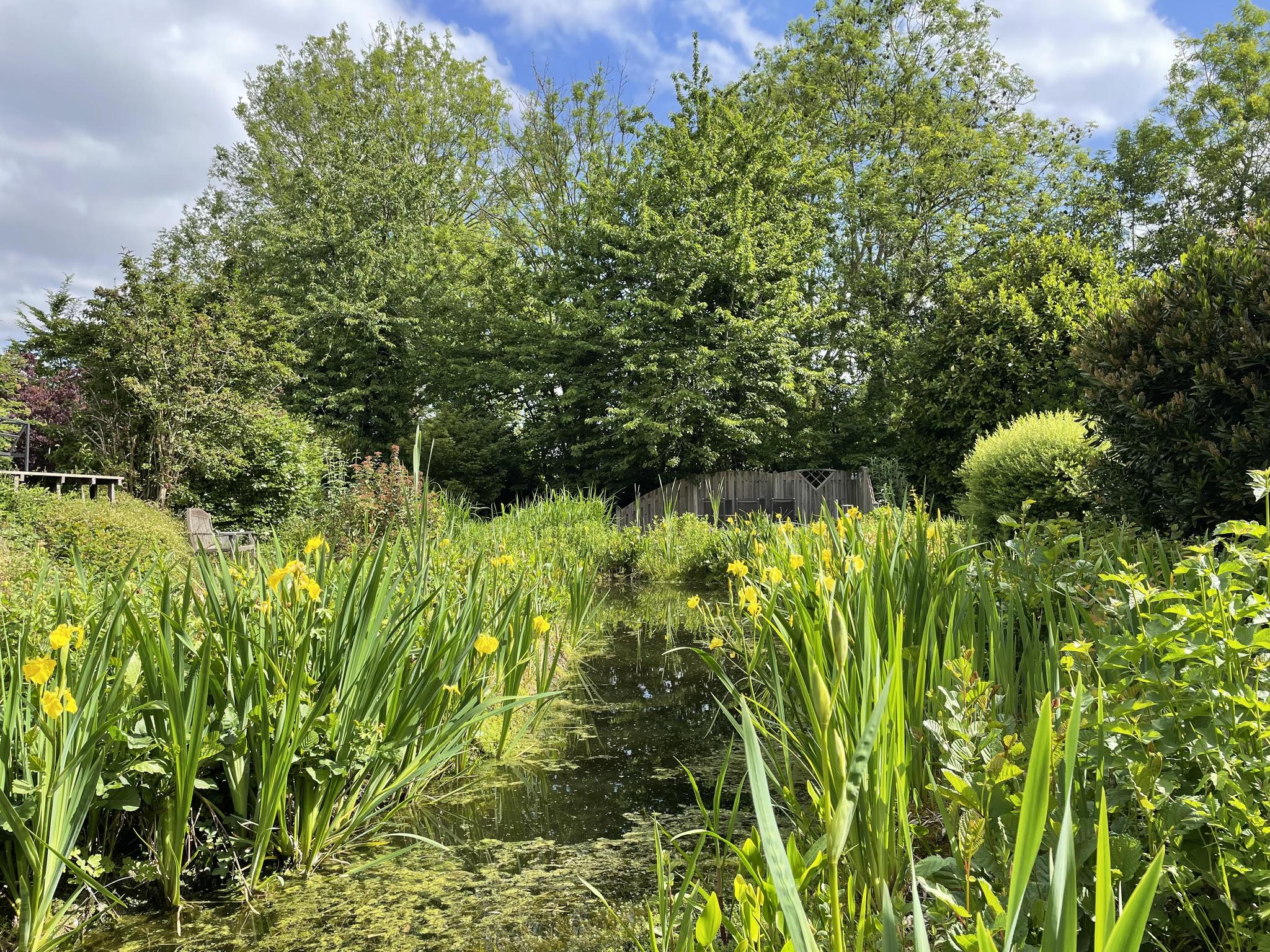 Kruisweg 1189 , 2131 MD Hoofddorp 40